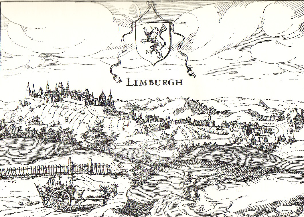 limbvi4.jpg